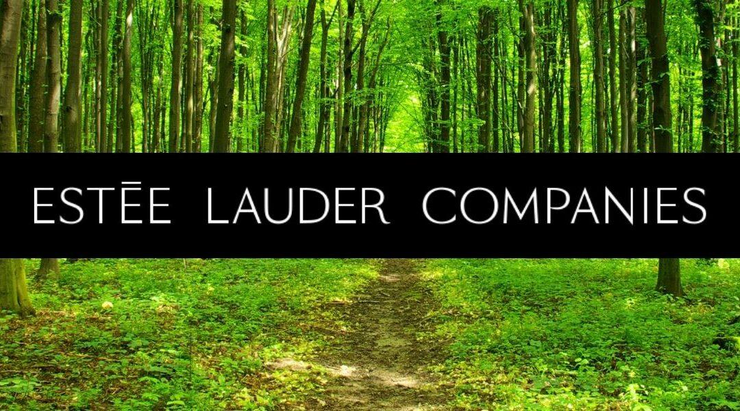 Duurzaamheid bij Lauder Groep: inzetten voor een groenere toekomst