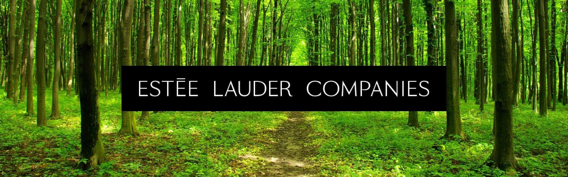 Duurzaamheid bij Lauder Groep_ inzetten voor een groenere toekomst
